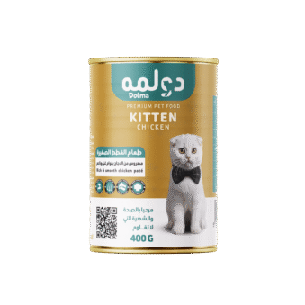 mashed chicken for kittens